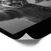 Poster Cat Selfie Shark Crocodile Italian Brainrot Meme M (Coin)