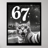 Poster Cat Selfie With 67 Meme Funny Cats Graphic For Men (Devant)
