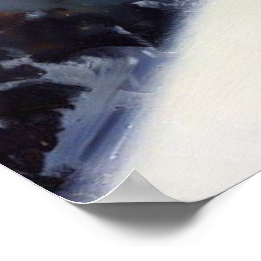 Poster Cat Snowboard (Coin)