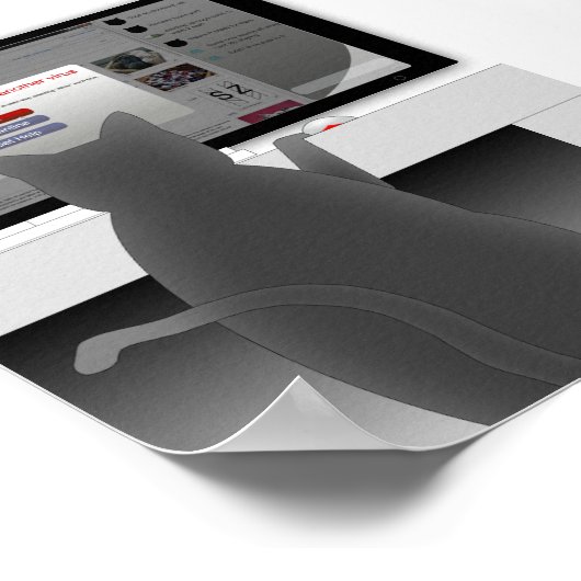 Poster cat-surf-2011 (Coin)