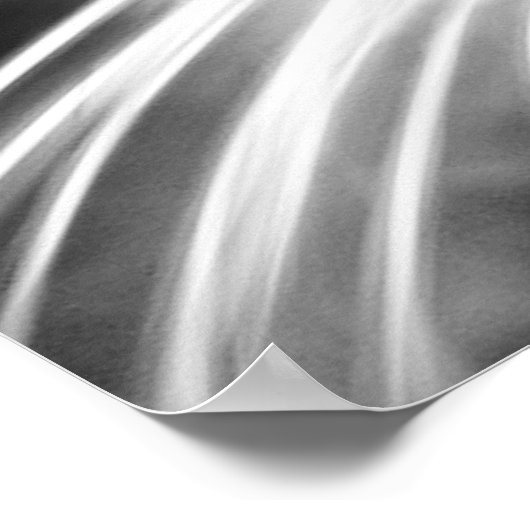 Poster Cat vert orné près Imprimer (Coin)