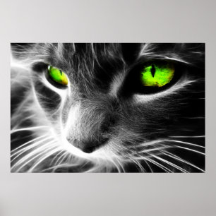 Poster Cat vert orné près Imprimer