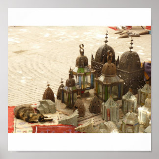 Poster Cat Vs Lanterne