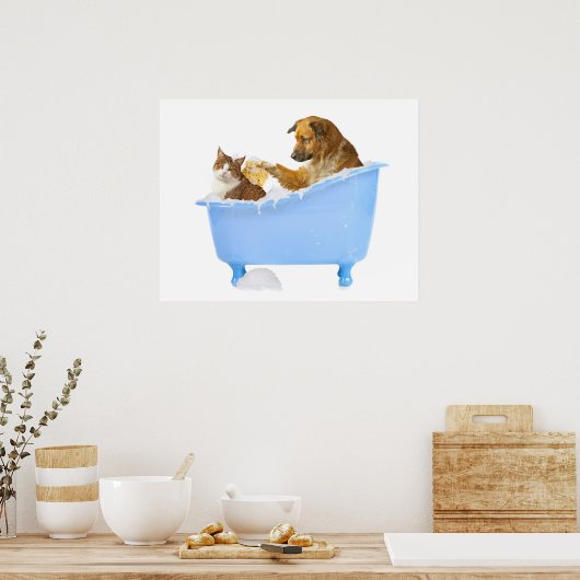 Poster Cat-Wash (Cuisine)