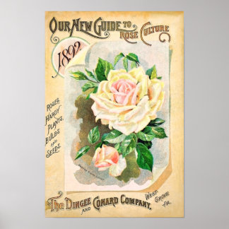 Poster Catalogue de semences Vintages Dingee et Conard ro