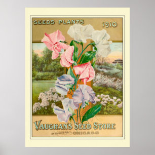 Poster Catalogue vintage Chicago Gardening Flower Seeds