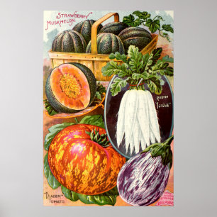 Poster Catalogue vintage de semences pour enfants Art vég