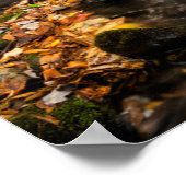 Poster Cataloochee Creek NC Great Smoky Mountains (Coin)