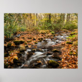 Poster Cataloochee Creek NC Great Smoky Mountains (Devant)