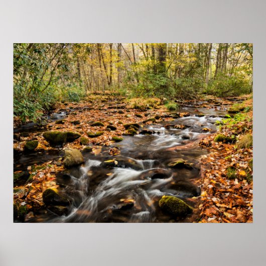 Poster Cataloochee Creek NC Great Smoky Mountains (Devant)