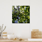 Poster Catalpa tropicale nature sauvage (Cuisine)