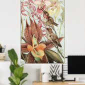 Poster Catasetum et Cypridediums 1912 (Bureau à domicile)