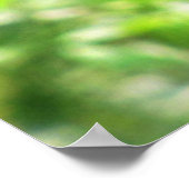 Poster Catbird (Coin)