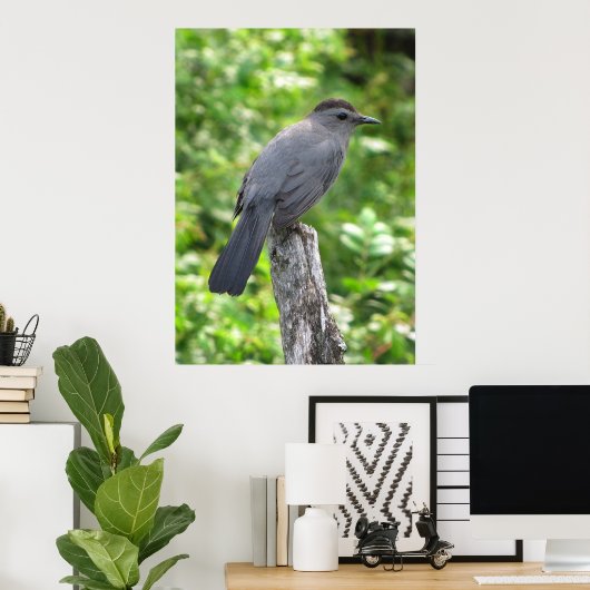 Poster Catbird (Bureau à domicile)