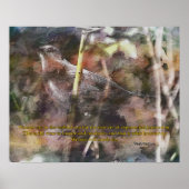 Poster Catbird avec citation Vivek Wadwha (Devant)