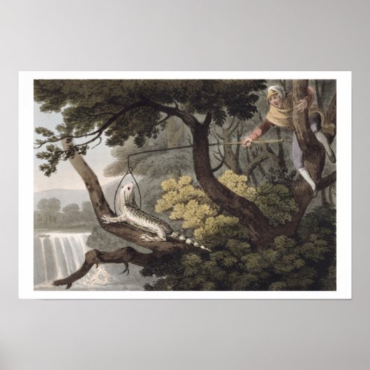 Poster Catcher de Lizard mexicain, gravé par Matthew Dubo (Devant)