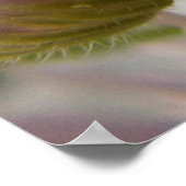 Poster Caterpillar (Coin)