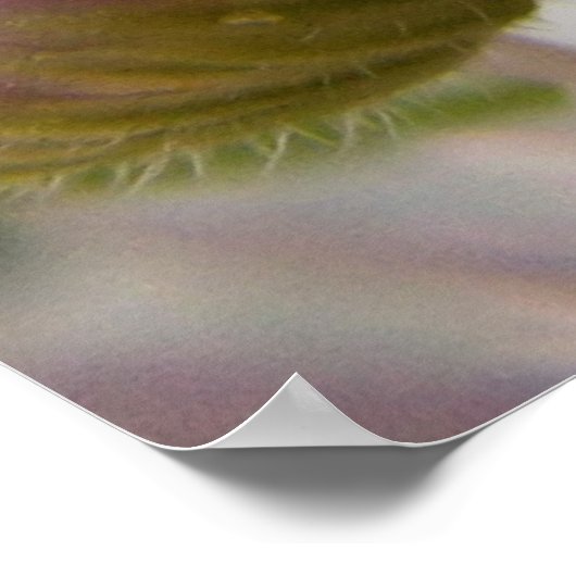 Poster Caterpillar (Coin)