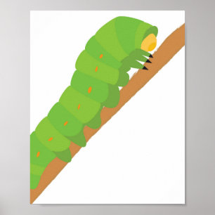 Poster Caterpillar
