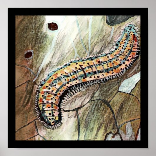 Poster Caterpillar 🐛 De L'Est 🦋 Papillon Blanc (Devant)