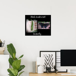 Poster Caterpillar Noir/Papillon