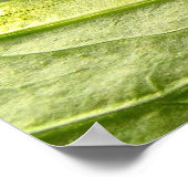 Poster Caterpillar noire (Coin)