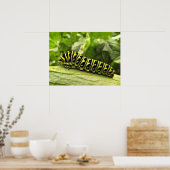 Poster Caterpillar noire (Cuisine)