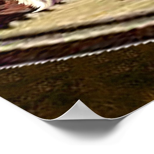 POSTER CATFIGHT (Coin)