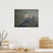 Poster Catfish and Turtle (Cuisine)