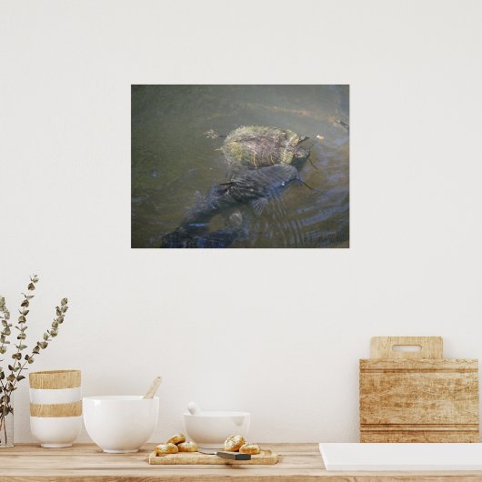 Poster Catfish and Turtle (Cuisine)