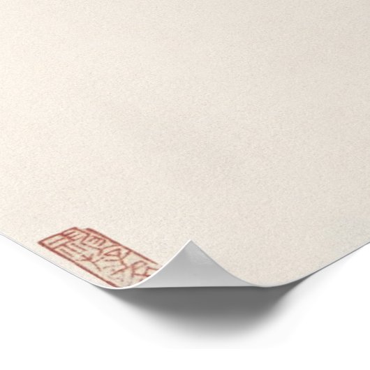 Poster Catfish chinois (Coin)