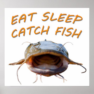 Poster Catfish en tête d'affiche