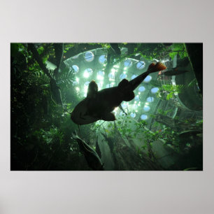 Poster Catfish géant