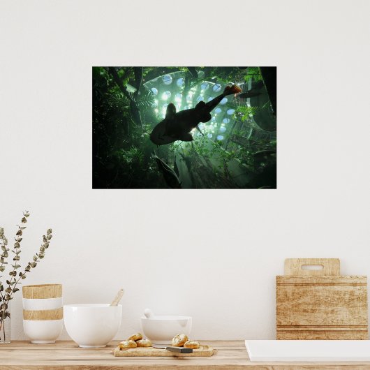 Poster Catfish géant (Cuisine)