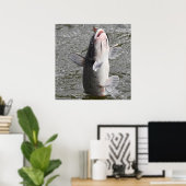 Poster Catfish prend l'appât (Bureau à domicile)