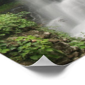 Poster Cathedral Falls, Virginie-Occidentale (Coin)