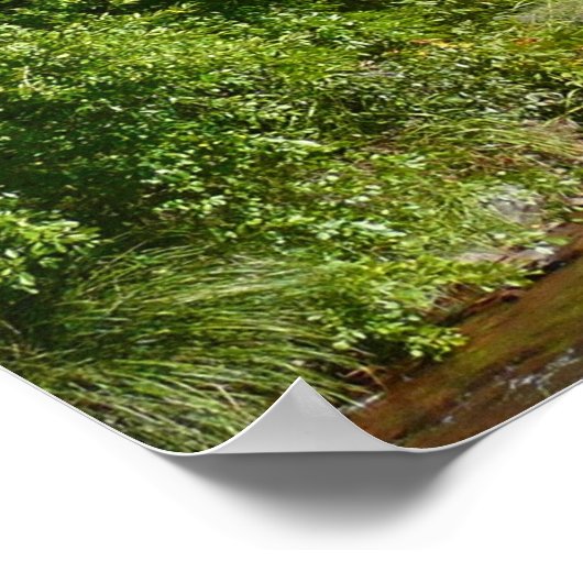 Poster Cathedral Rock and Stream à Sedona Arizona (Coin)