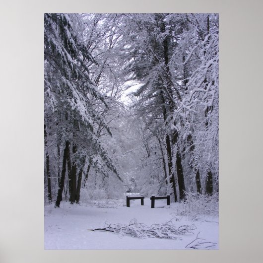 Poster Cathédrale de glace 2 ~ imprimer (Devant)