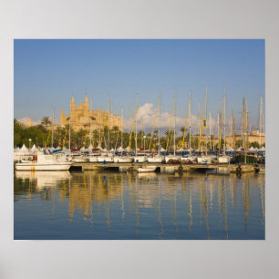 Poster Cathédrale et marina, Palma, Mallorca, Espagne