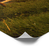 Poster Cathédrale et rivière Tormes, Salamanque, Castille (Coin)