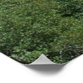 Poster Cathédrale Rock 601 (Coin)