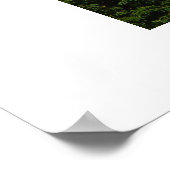 Poster Cathédrale Saint-Vitus (Coin)