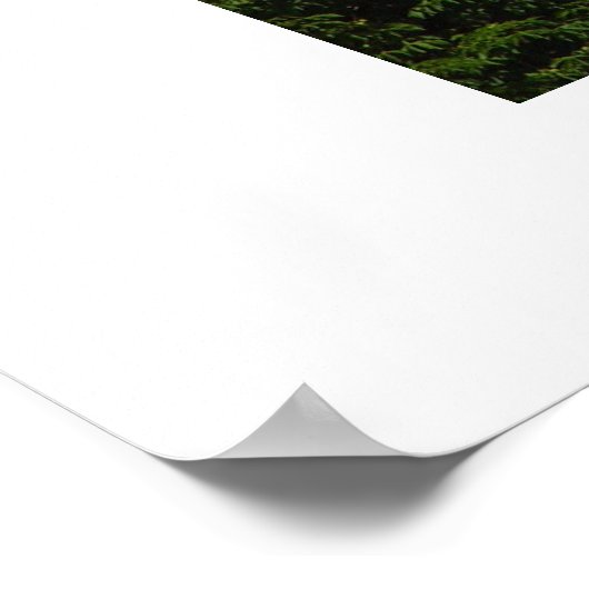 Poster Cathédrale Saint-Vitus (Coin)