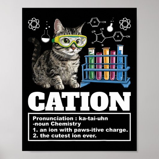 Poster Cation Chimie Humour Sciences Enseignant Cat Pun C (Devant)