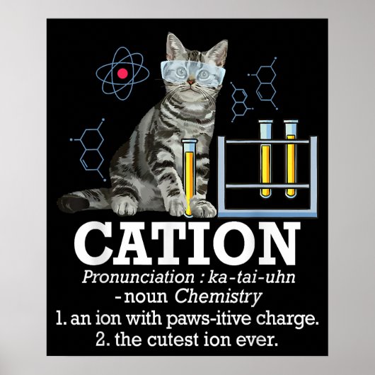 Poster Cation Fun Chimie Humour Science Enseignant Chat P (Devant)