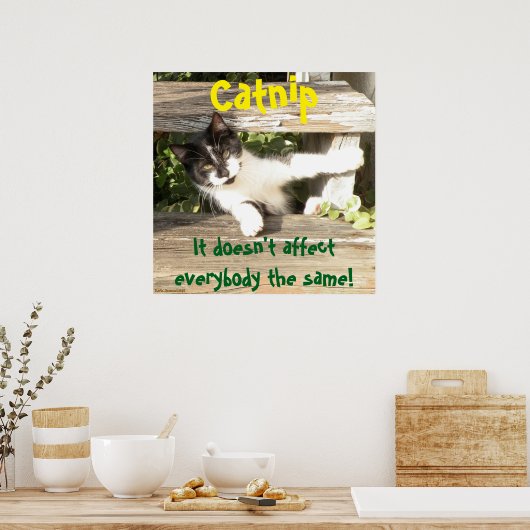 Poster "Catnip", cats, funny, humor, cute, gift  (Cuisine)