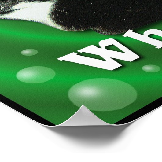 Poster Catnip Kitty (Coin)