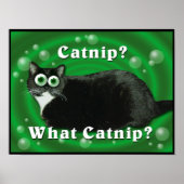 Poster Catnip Kitty (Devant)