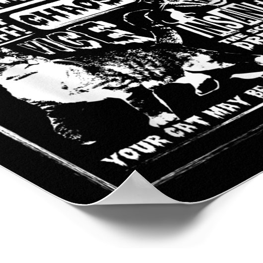 Poster Catnip Madness Cute Kitten Cadeau Amoureux des cha (Coin)