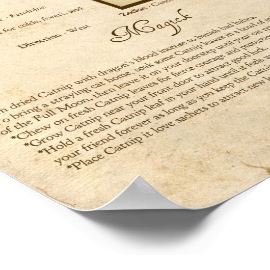 POSTER CATNIP MAGICK HERB (Coin)